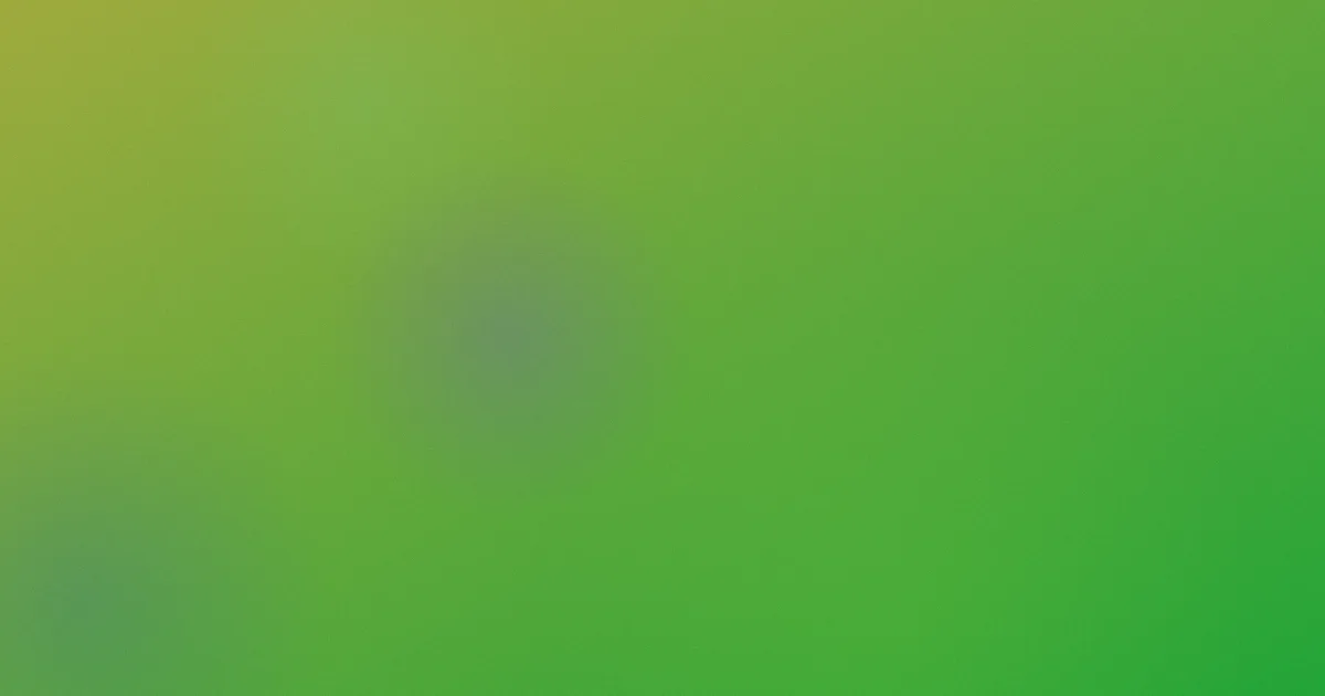 海盗2推荐：新手该不该看